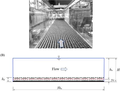 Three-dimensional smoothed particle hydrodynamics modeling of near-shore current flows over rough topographic surface